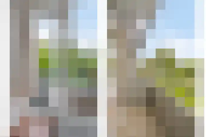 Veldmaarschalk Montgomerylaan 871 Eindhoven thumbnail 29