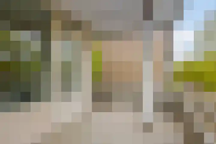 Veldmaarschalk Montgomerylaan 871 Eindhoven thumbnail 32