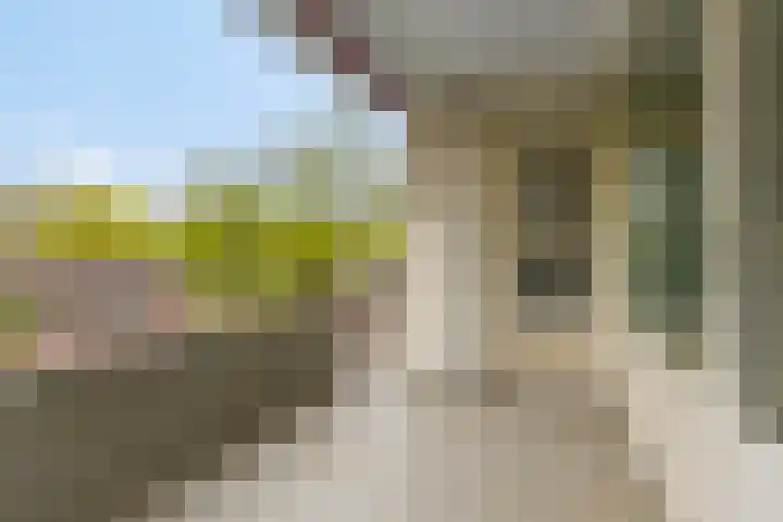 Veldmaarschalk Montgomerylaan 871 Eindhoven thumbnail 33