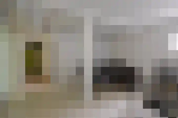 Veldmaarschalk Montgomerylaan 871 Eindhoven thumbnail 34