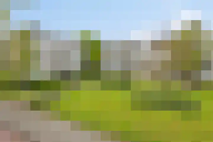 Veldmaarschalk Montgomerylaan 871 Eindhoven thumbnail 36