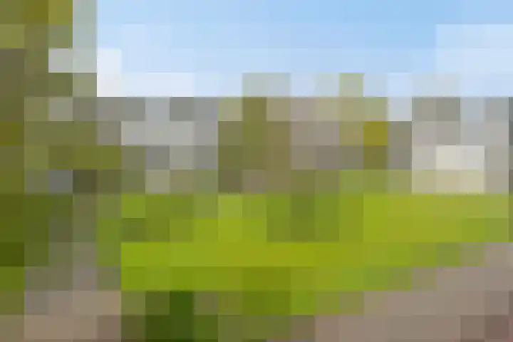 Veldmaarschalk Montgomerylaan 871 Eindhoven thumbnail 37