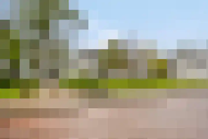 Veldmaarschalk Montgomerylaan 871 Eindhoven thumbnail 38