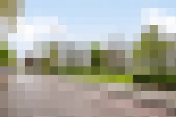Veldmaarschalk Montgomerylaan 871 Eindhoven thumbnail 39