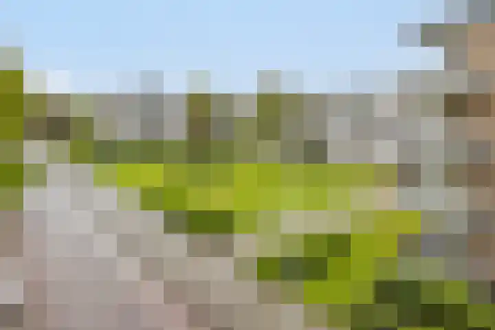 Veldmaarschalk Montgomerylaan 871 Eindhoven thumbnail 42