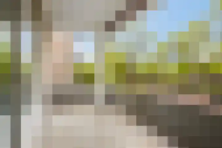 Veldmaarschalk Montgomerylaan 871 Eindhoven thumbnail 6