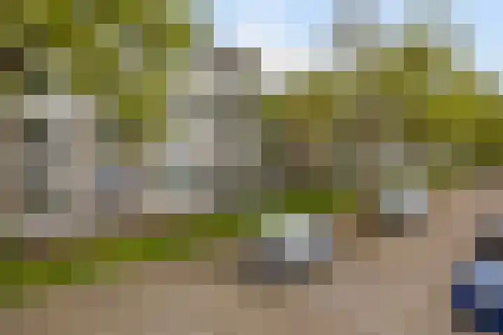 Veldmaarschalk Montgomerylaan 871 Eindhoven thumbnail 7