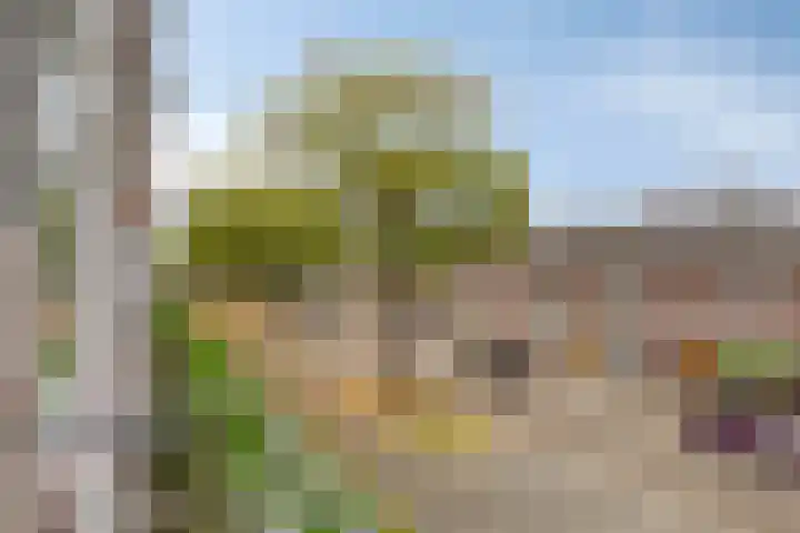 Veldmaarschalk Montgomerylaan 885 Eindhoven thumbnail 10