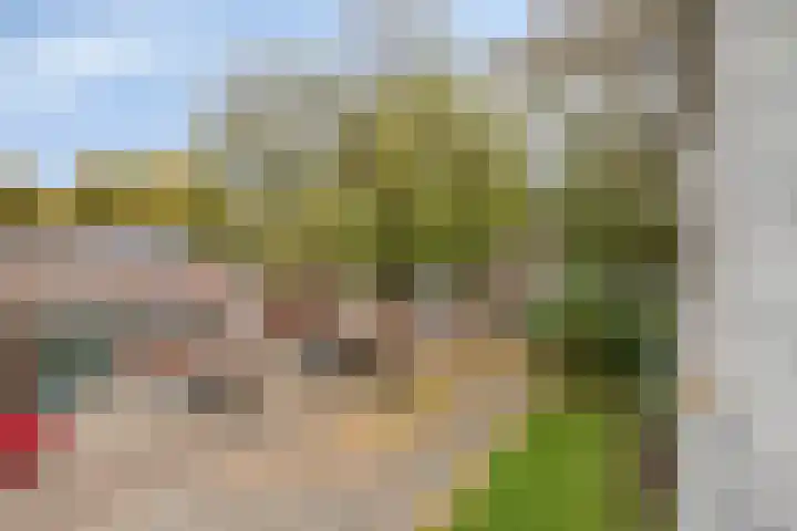 Veldmaarschalk Montgomerylaan 885 Eindhoven thumbnail 12