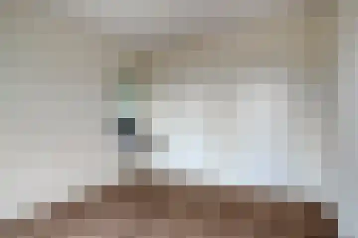 Veldmaarschalk Montgomerylaan 885 Eindhoven thumbnail 17
