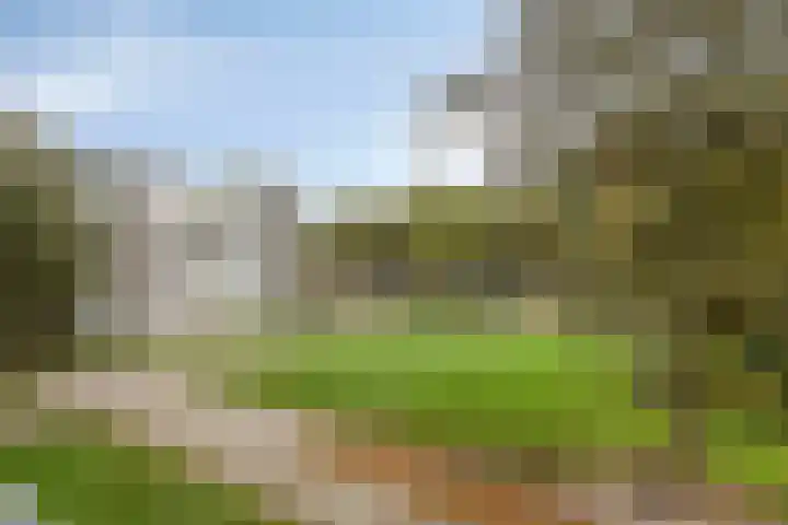 Veldmaarschalk Montgomerylaan 885 Eindhoven thumbnail 26
