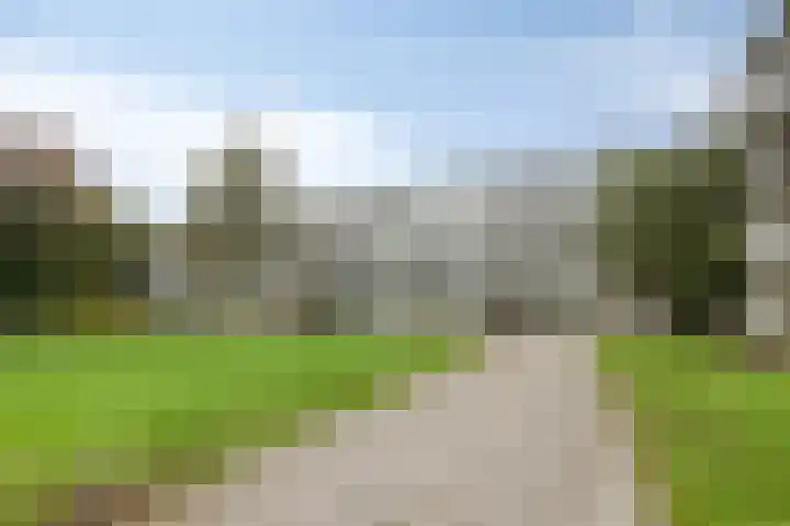 Veldmaarschalk Montgomerylaan 885 Eindhoven thumbnail 27