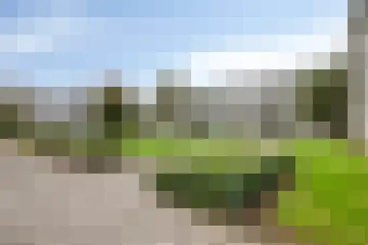 Veldmaarschalk Montgomerylaan 885 Eindhoven thumbnail 28