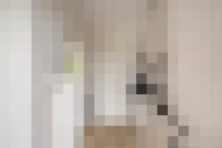 Veldmaarschalk Montgomerylaan 885 Eindhoven thumbnail 6