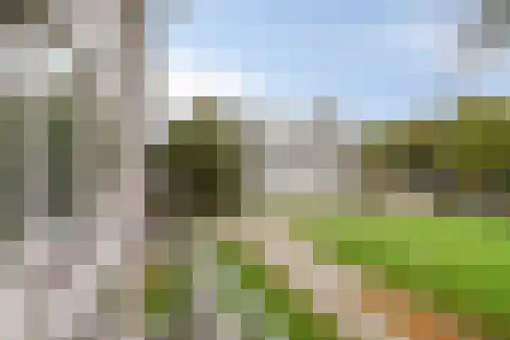 Veldmaarschalk Montgomerylaan 885 Eindhoven thumbnail 9