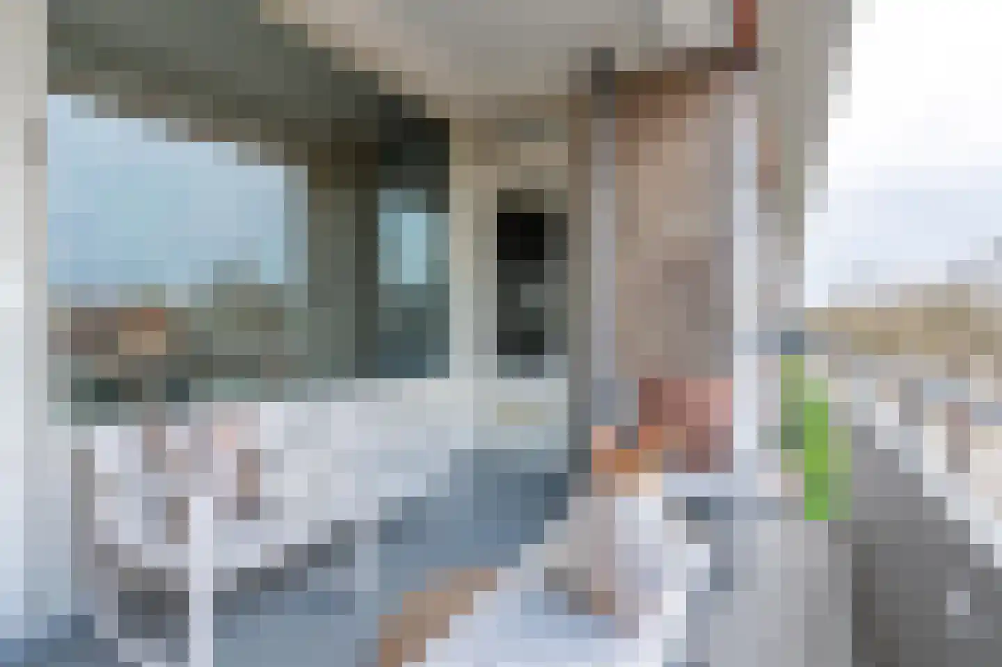 Veldmaarschalk Montgomerylaan 893 Eindhoven thumbnail 32