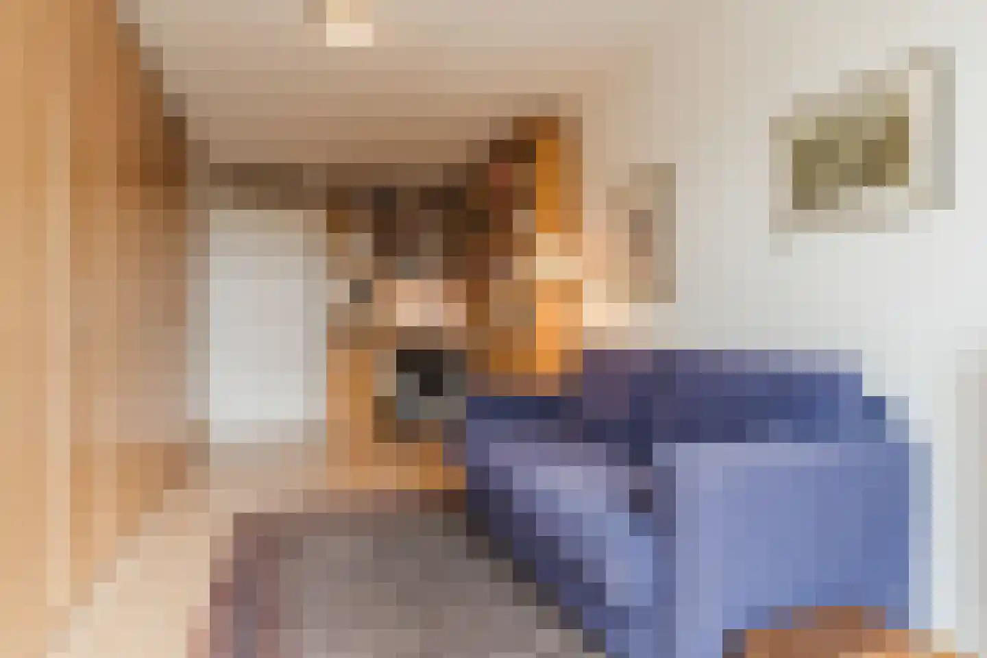 Veldmaarschalk Montgomerylaan 93 Eindhoven thumbnail 31