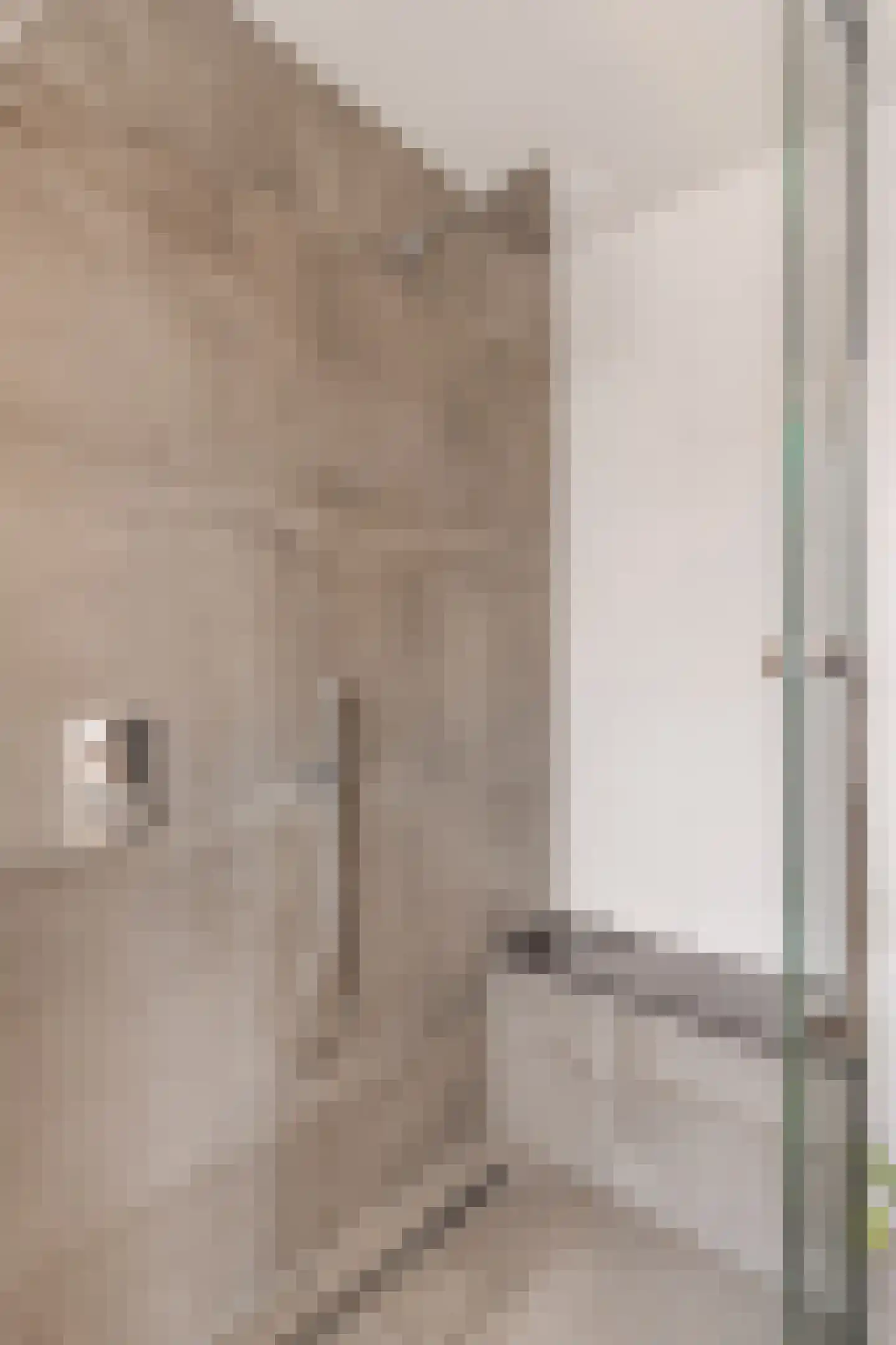 Veldmaarschalk Montgomerylaan 93 Eindhoven thumbnail 39