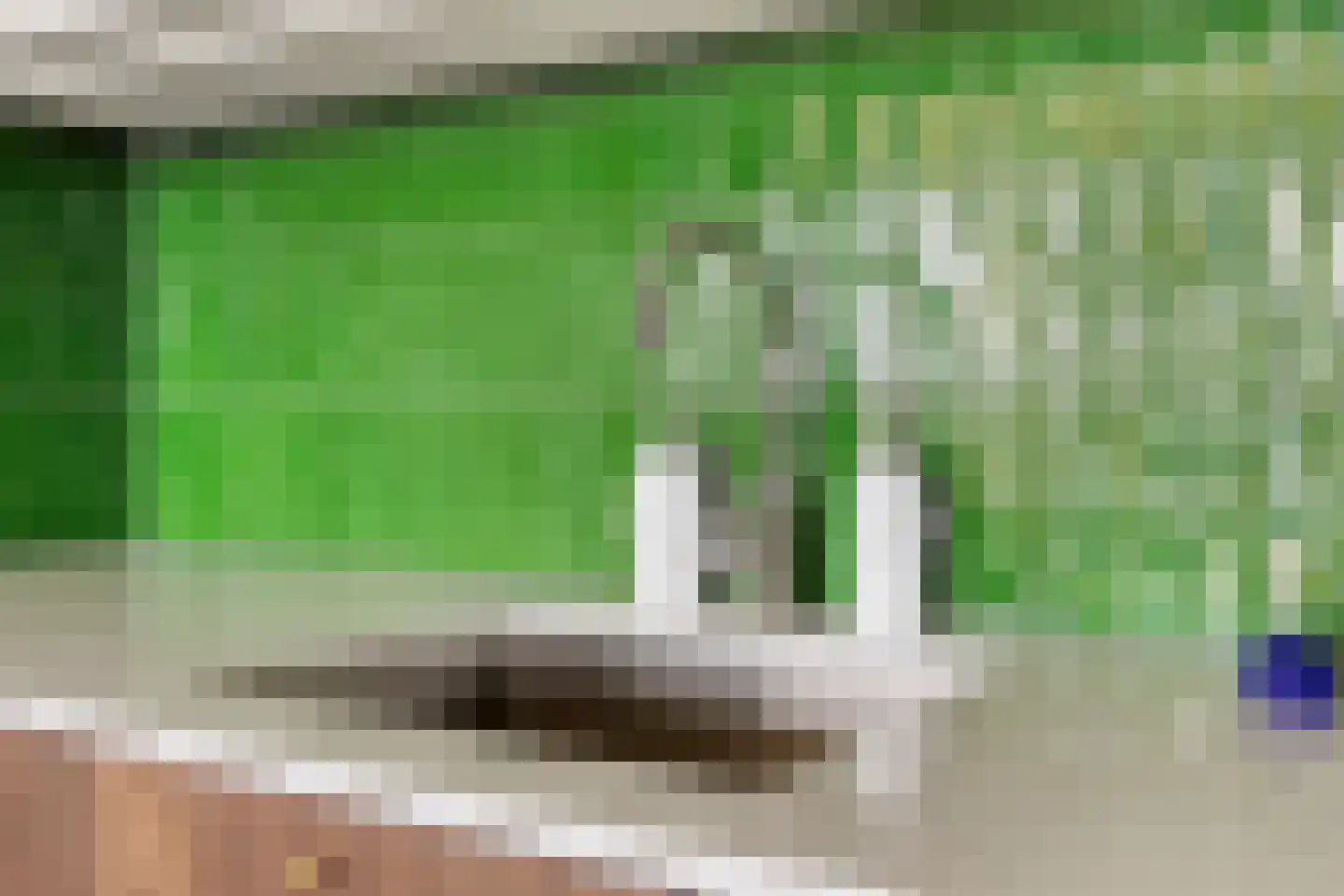 Veldmaarschalk Montgomerylaan 99 Eindhoven thumbnail 33