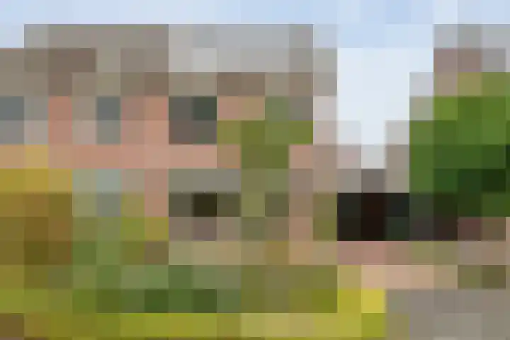 Veldmaat 3 in Hardenberg