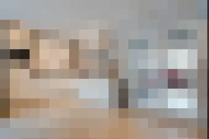 Veldmaat 3 Hardenberg thumbnail 13