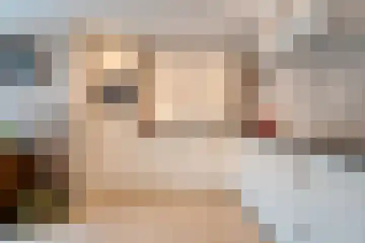 Veldmaat 3 Hardenberg thumbnail 14