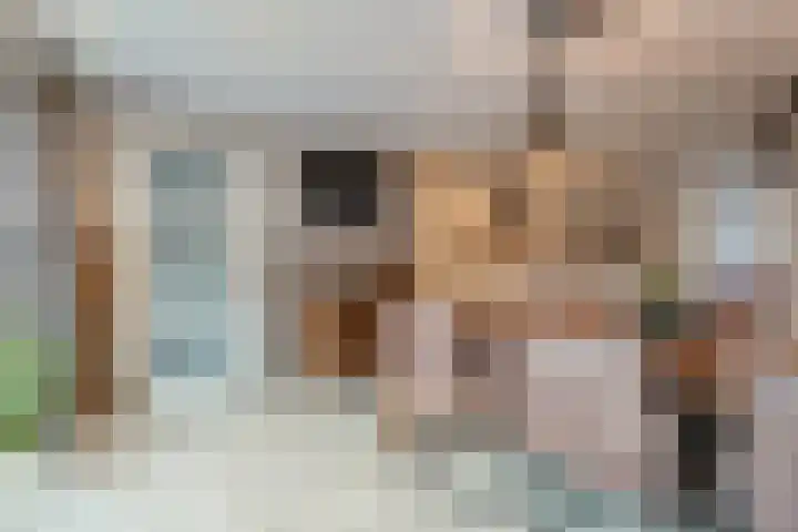 Veldmaat 3 Hardenberg thumbnail 16