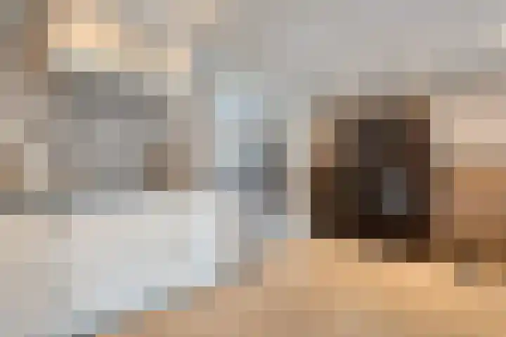 Veldmaat 3 Hardenberg thumbnail 17