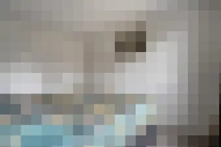 Veldmaat 3 Hardenberg thumbnail 25