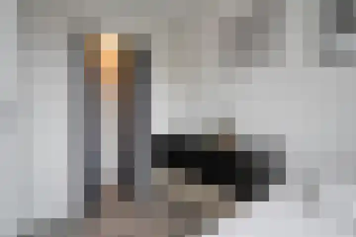 Veldmaat 3 Hardenberg thumbnail 30