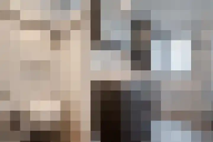 Veldmaat 3 Hardenberg thumbnail 31