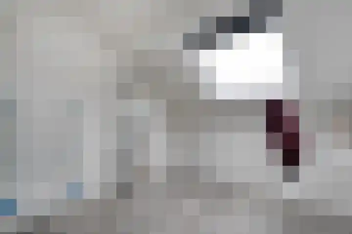 Veldmaat 3 Hardenberg thumbnail 35