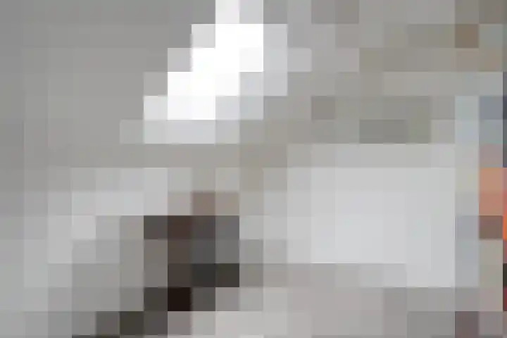 Veldmaat 3 Hardenberg thumbnail 37
