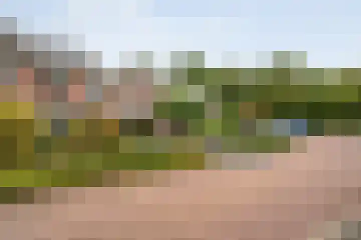 Veldmaat 3 Hardenberg thumbnail 4