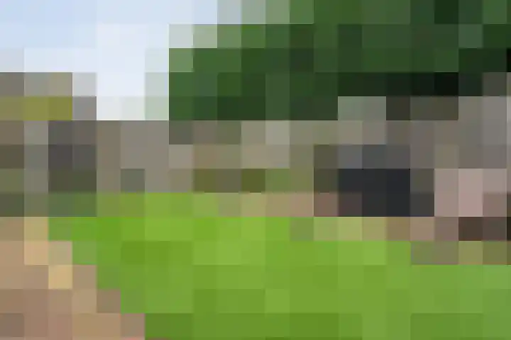 Veldmaat 3 Hardenberg thumbnail 40