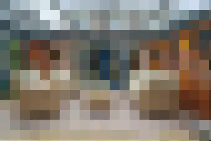 Veldmaat 3 Hardenberg thumbnail 41