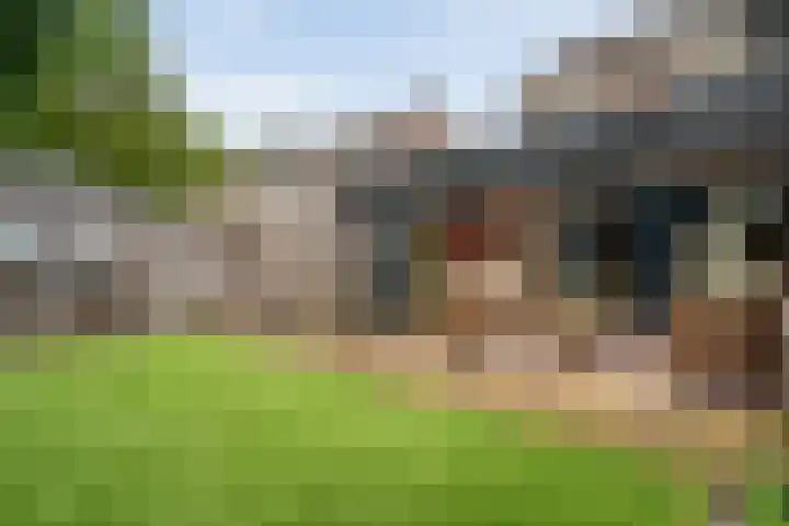 Veldmaat 3 Hardenberg thumbnail 42