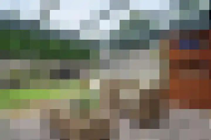 Veldmaat 3 Hardenberg thumbnail 43