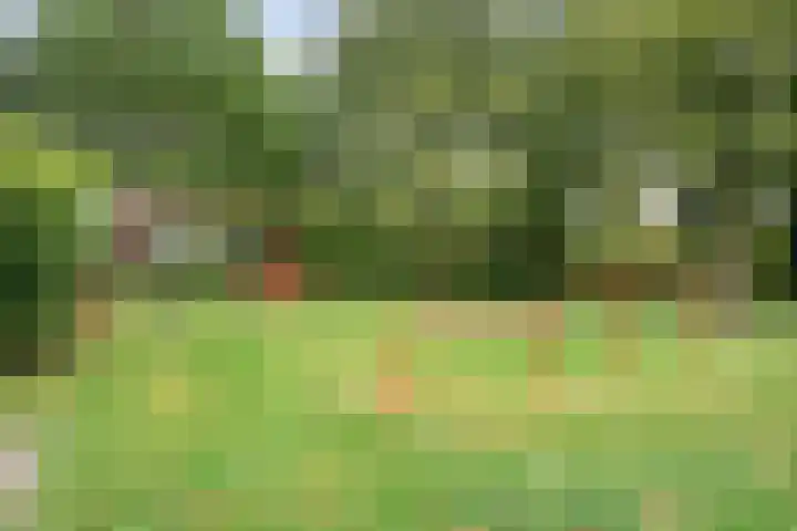 Veldmaat 3 Hardenberg thumbnail 44