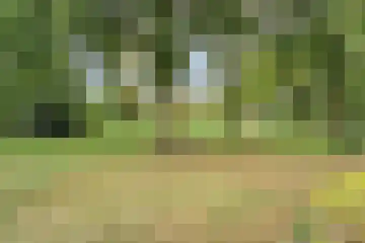 Veldmaat 3 Hardenberg thumbnail 45