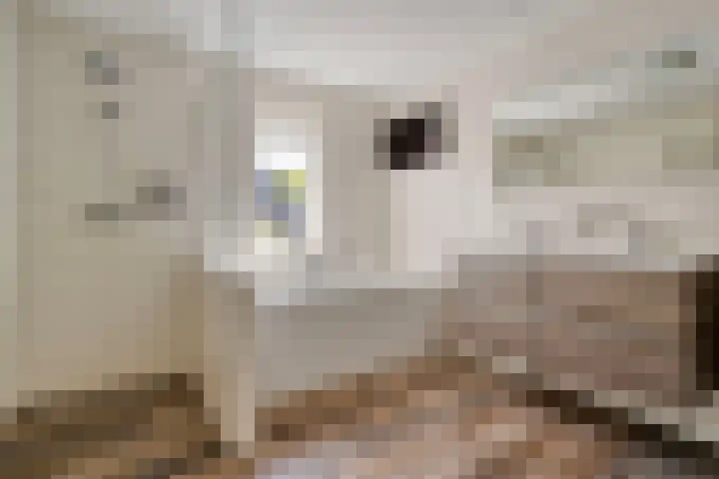 Veldmanserve 26 Hellendoorn thumbnail 30