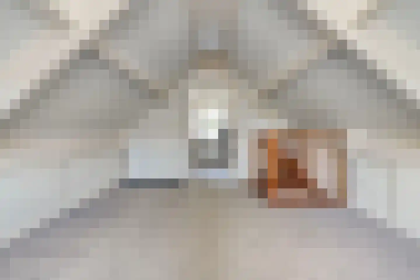Veldmanserve 26 Hellendoorn thumbnail 36