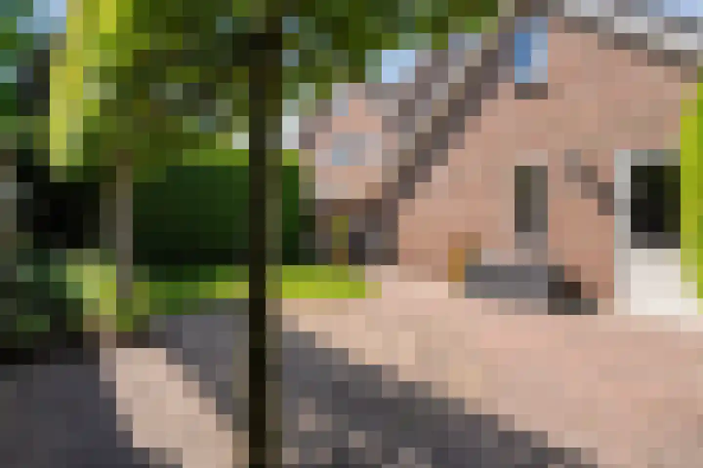 Veldmanserve 26 Hellendoorn thumbnail 39