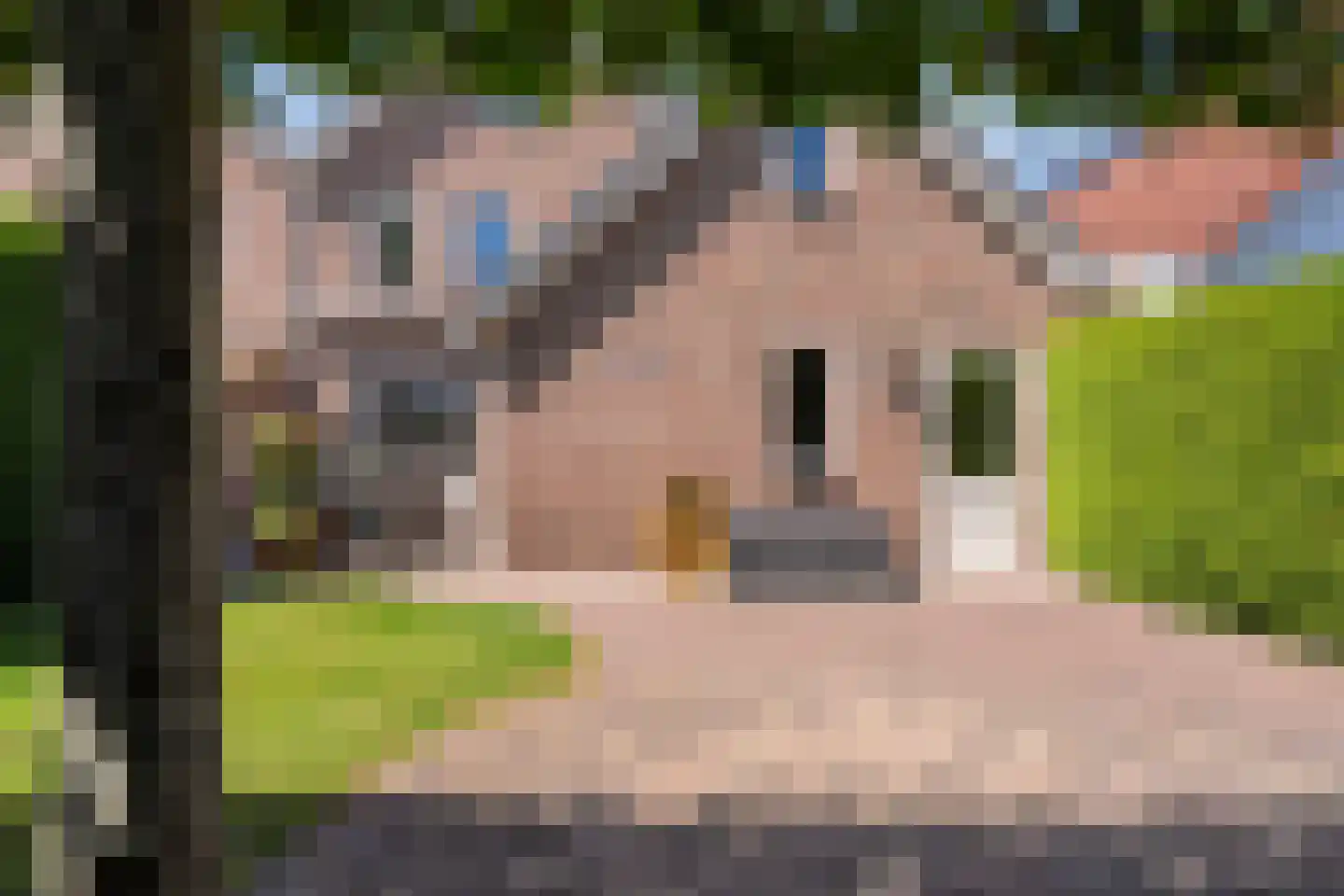 Veldmanserve 26 Hellendoorn thumbnail 40