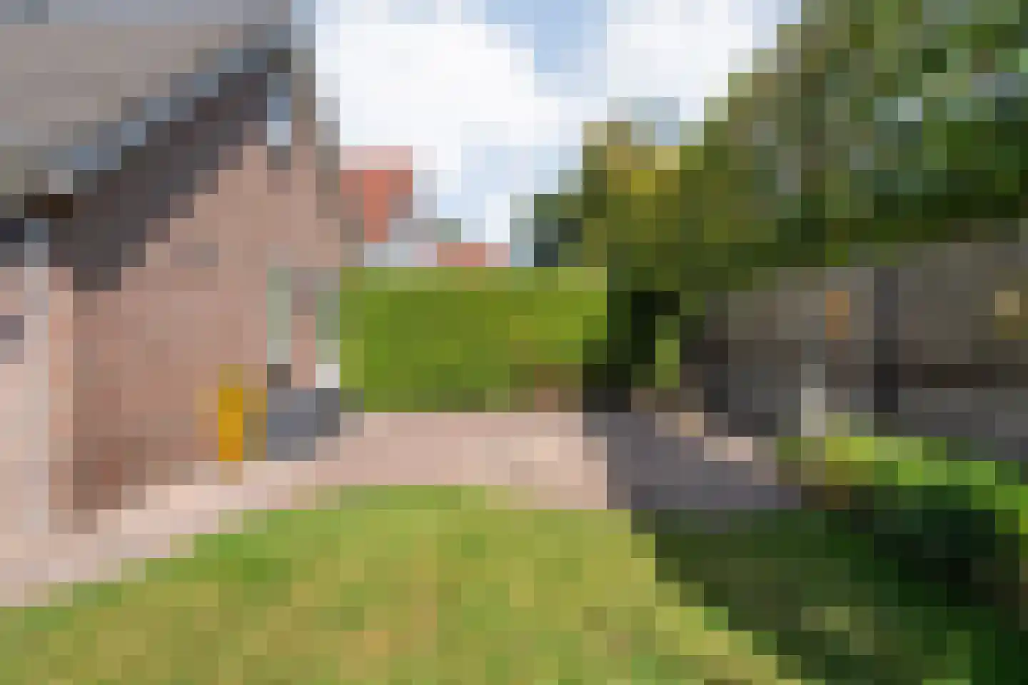 Veldmanserve 26 Hellendoorn thumbnail 41