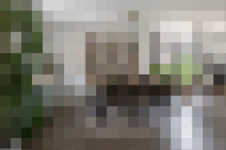 Veldmanserve 35 Hellendoorn thumbnail 12