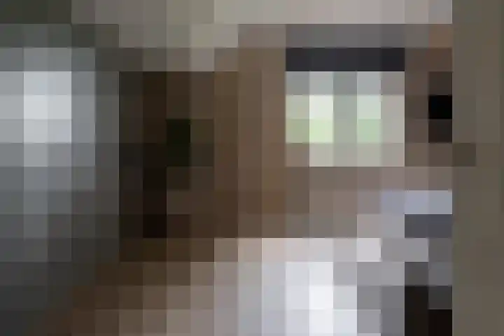 Veldmanserve 35 Hellendoorn thumbnail 23