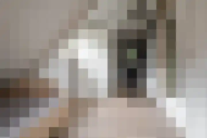 Veldmanserve 35 Hellendoorn thumbnail 25