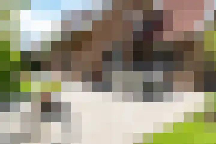 Veldmanserve 35 Hellendoorn thumbnail 33