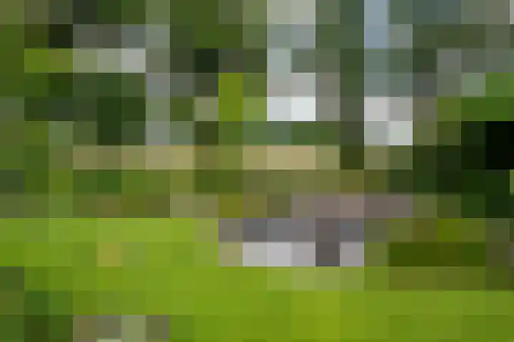 Veldmanserve 35 Hellendoorn thumbnail 34
